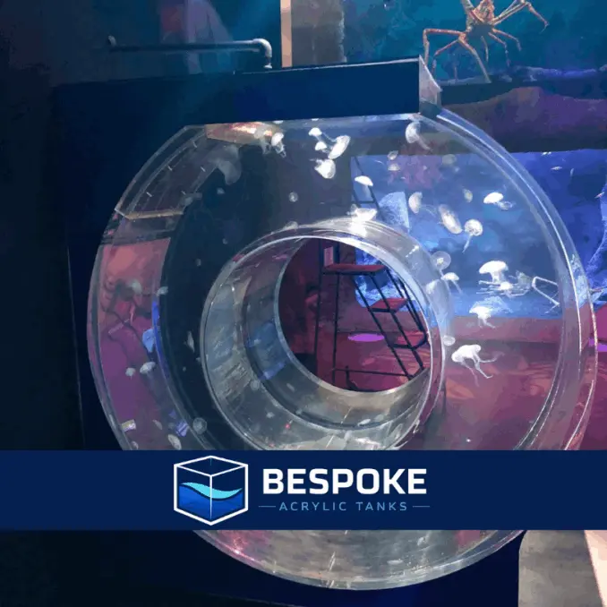 aquatic-acrylic-tanks